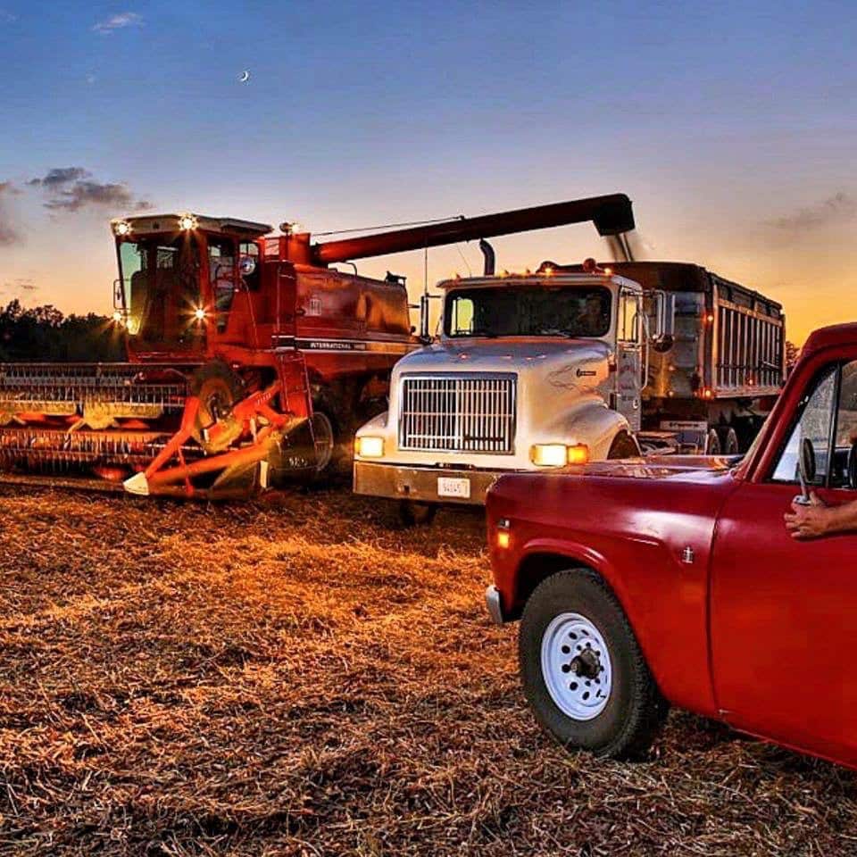 Red Combines 1915-2020