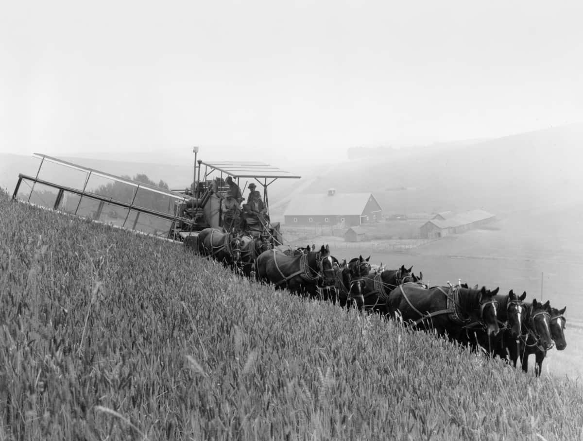 Red Combines 1915-2020